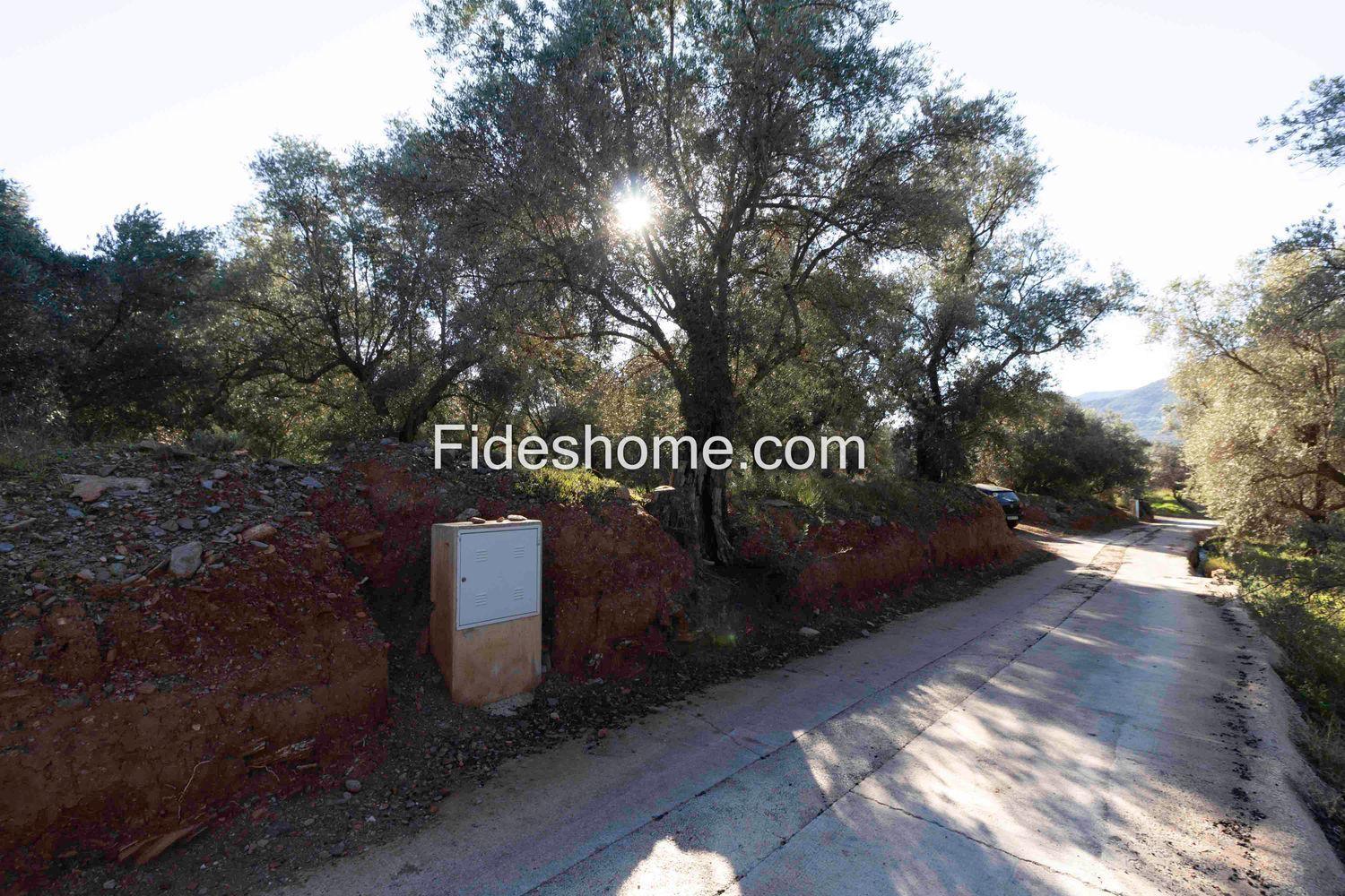 Plot for Sale in Lecrín