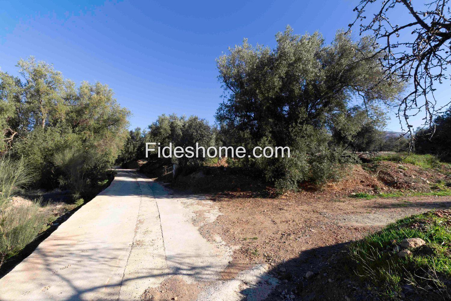 Plot for Sale in Lecrín