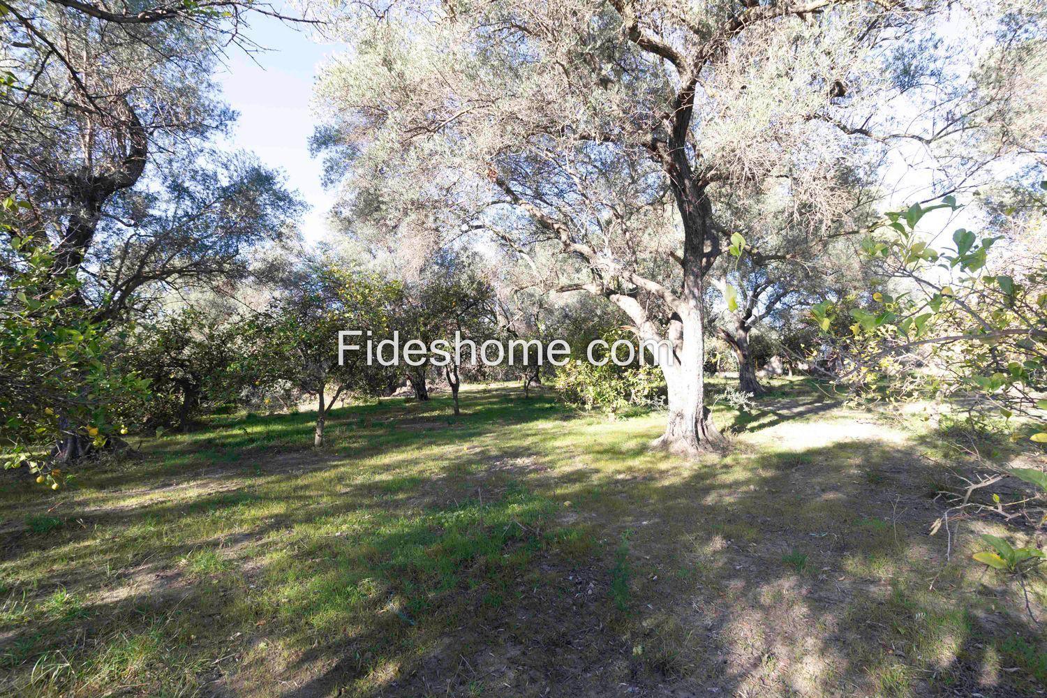 Plot for Sale in Lecrín
