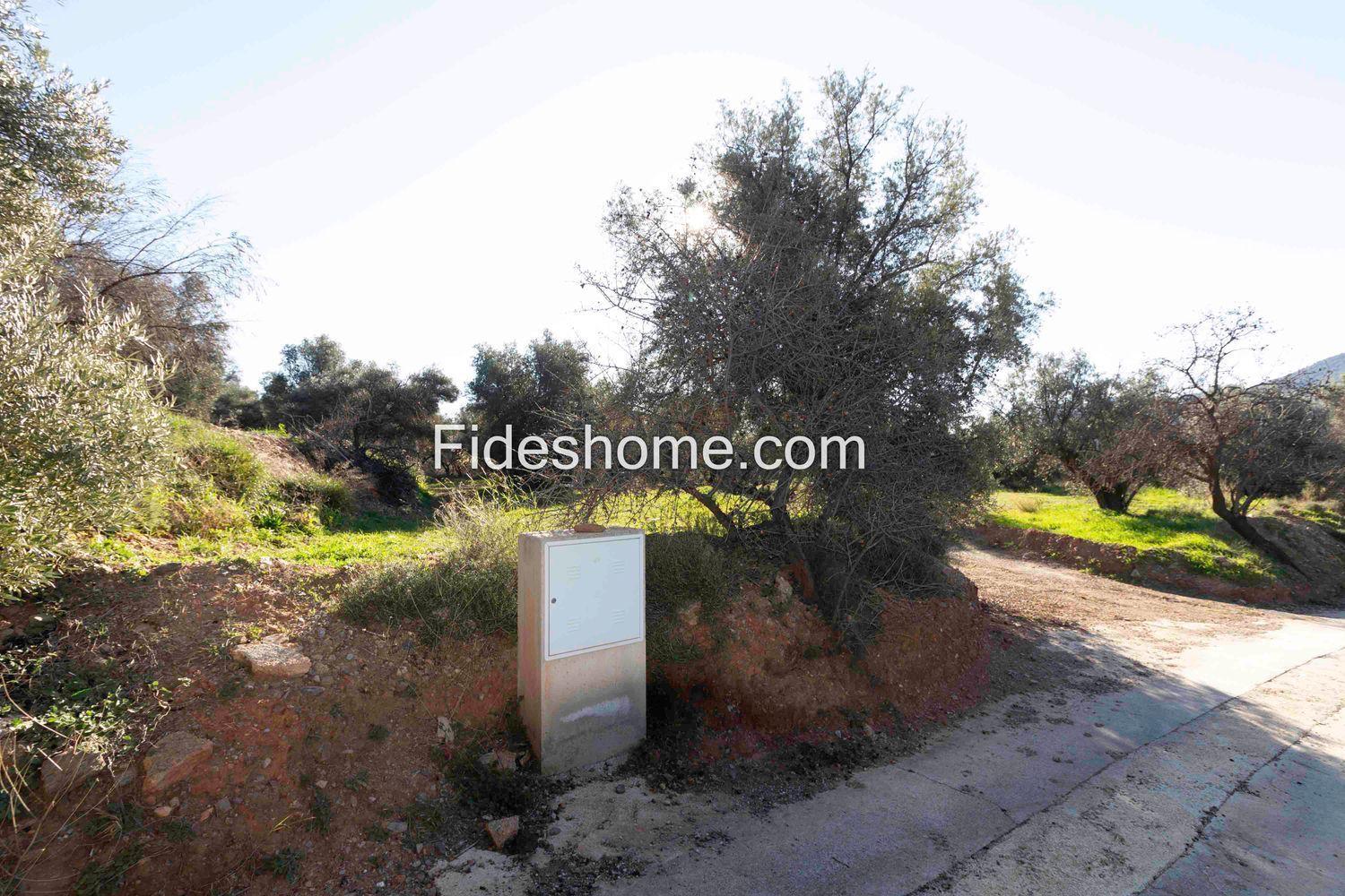 Plot for Sale in Lecrín