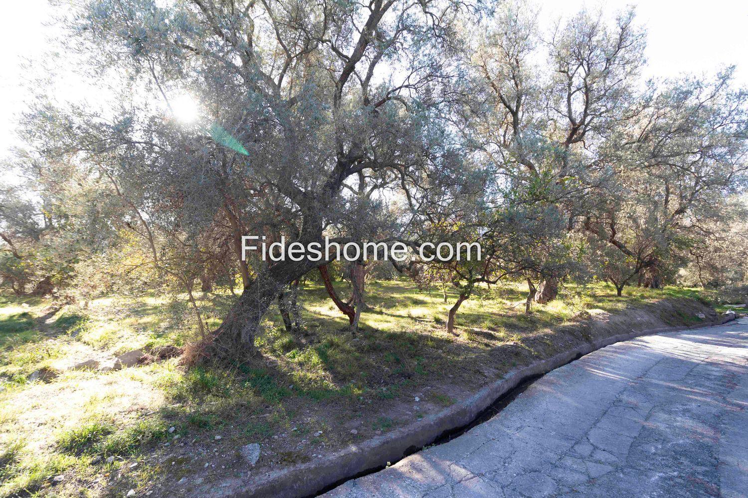 Plot for Sale in Lecrín