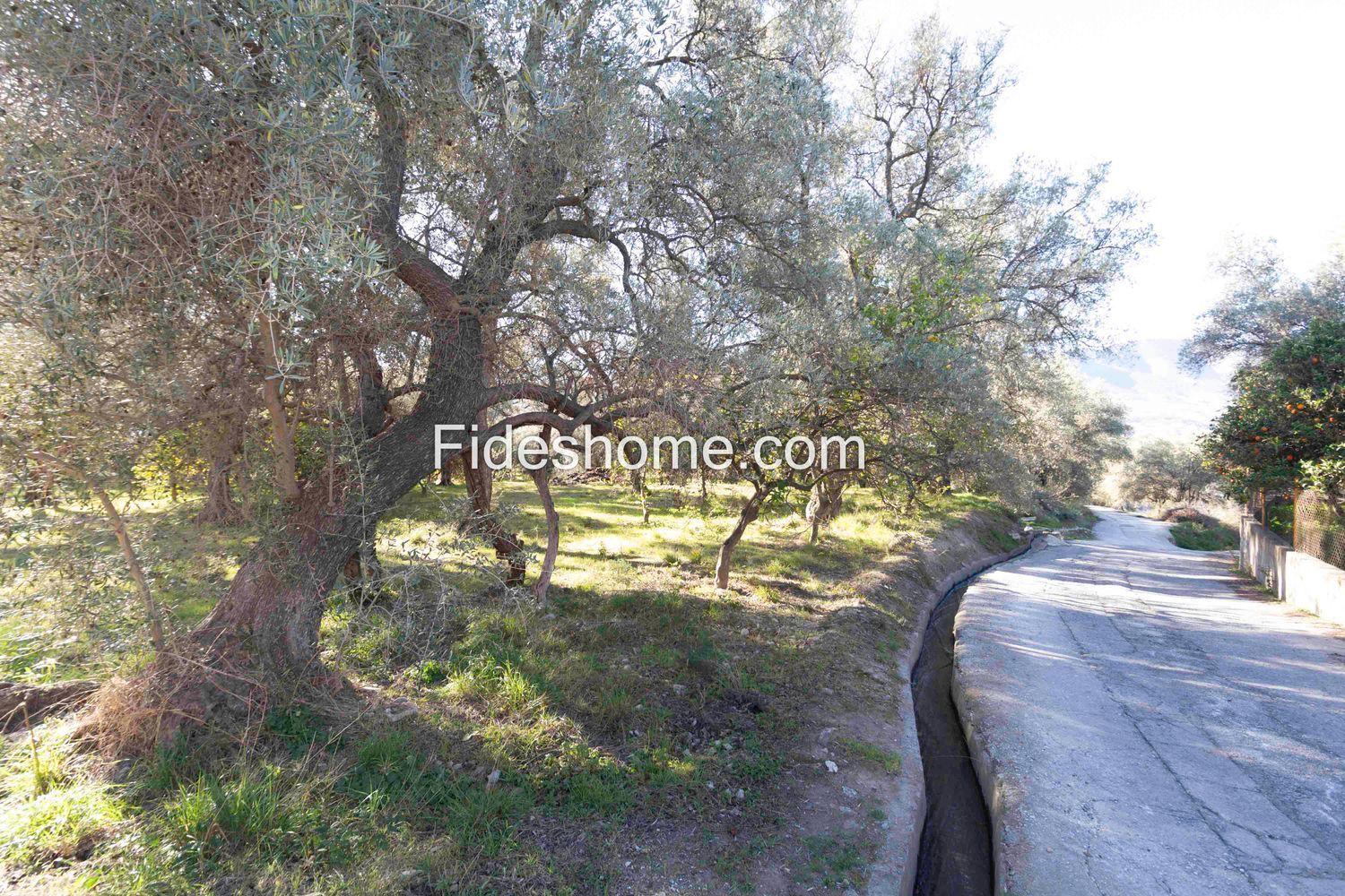 Plot for Sale in Lecrín