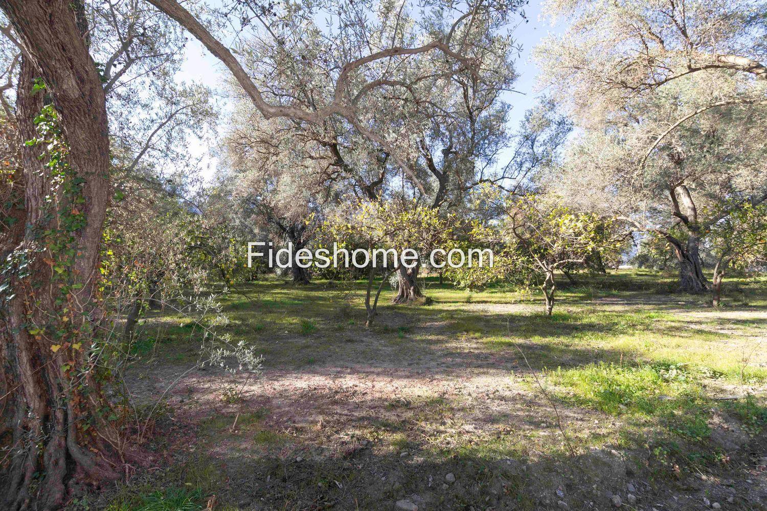 Plot for Sale in Lecrín