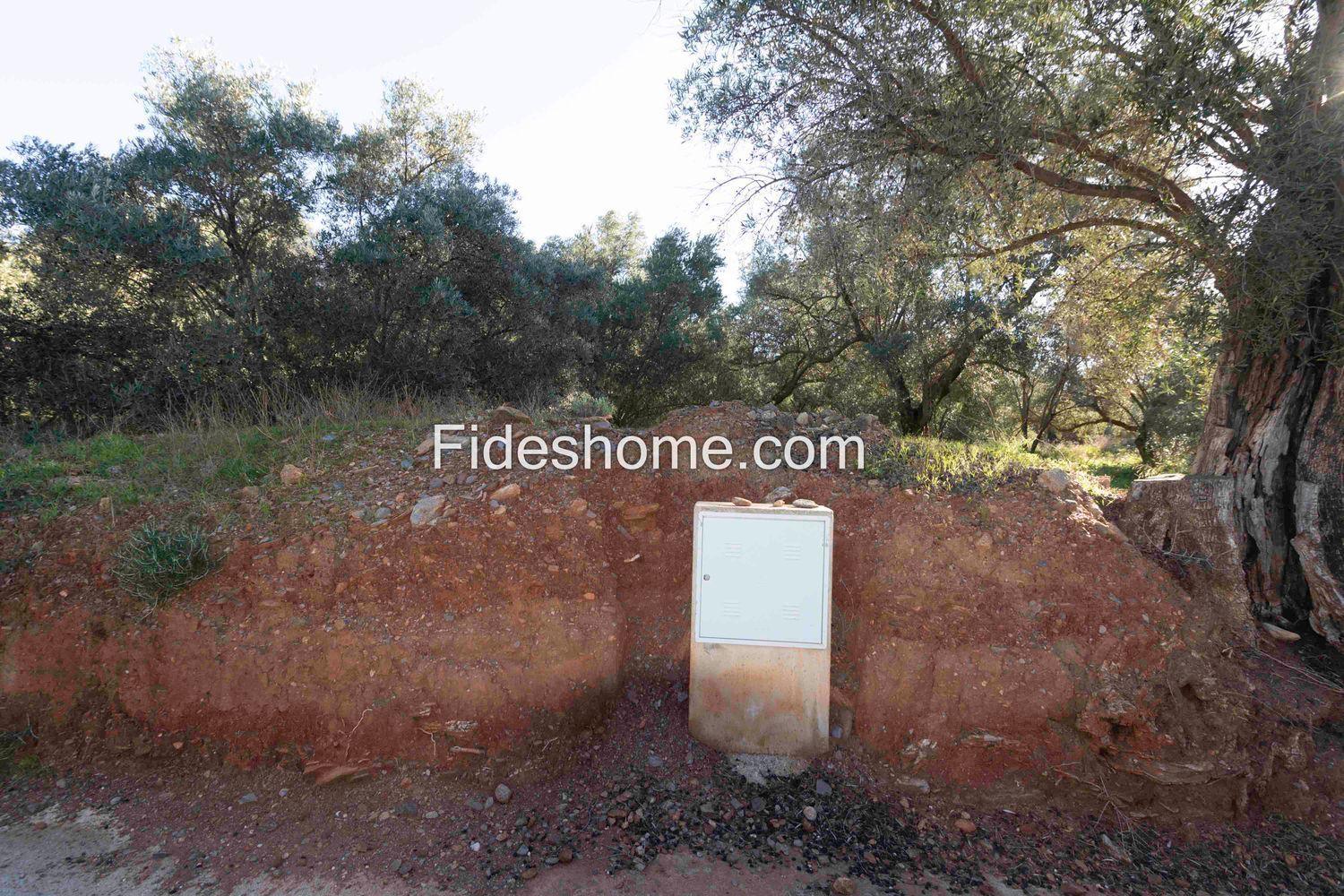 Plot for Sale in Lecrín