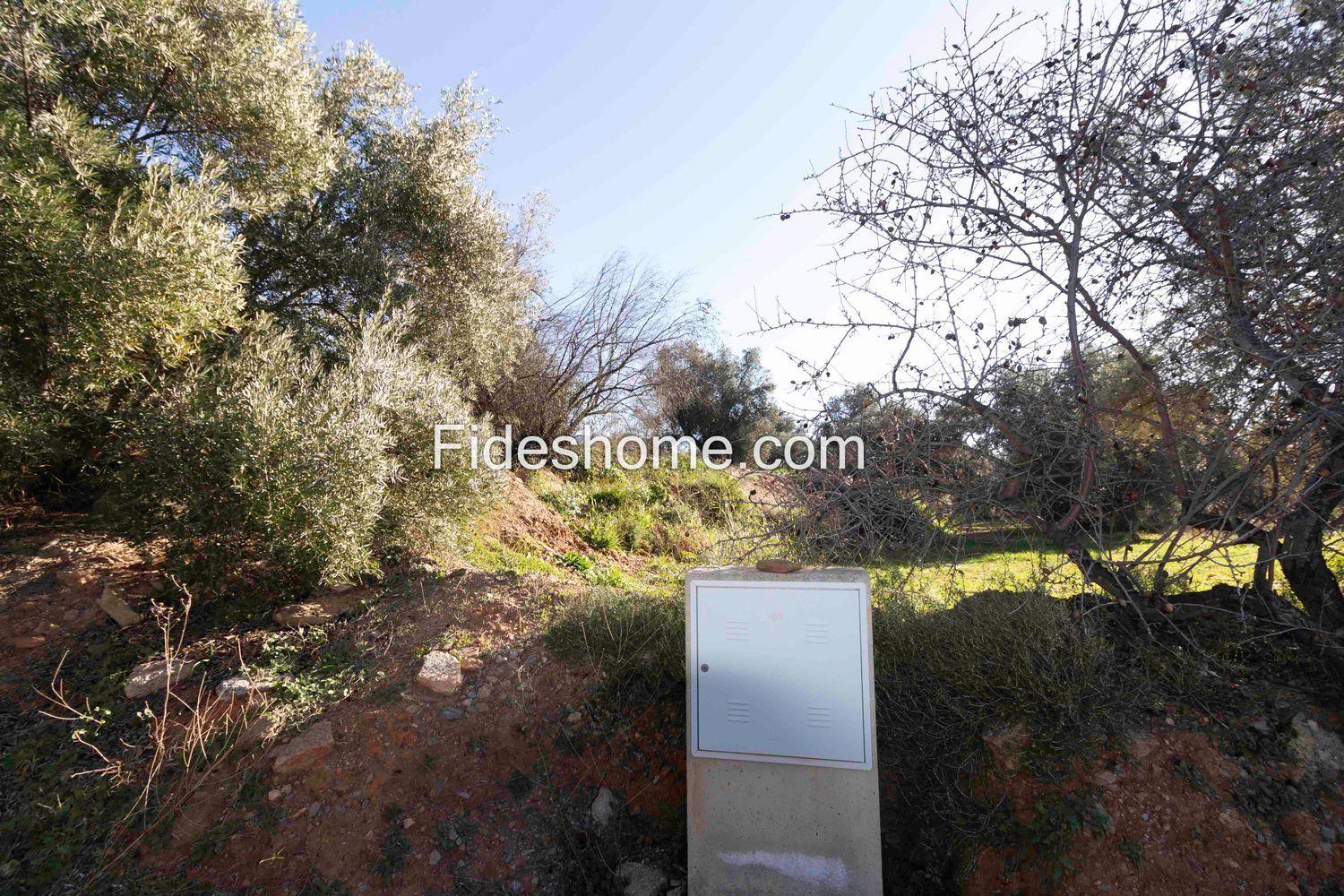 Plot for Sale in Lecrín