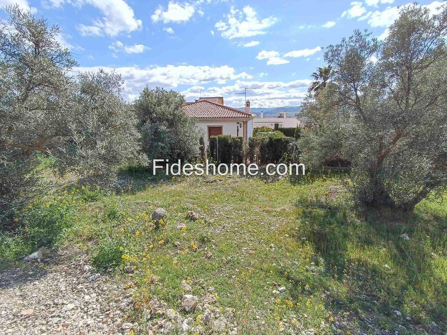 Building Site for Sale in Dúrcal