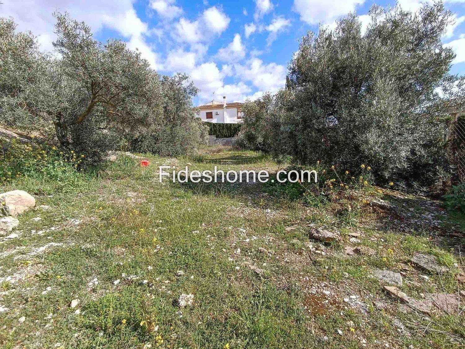 Building Site for Sale in Dúrcal