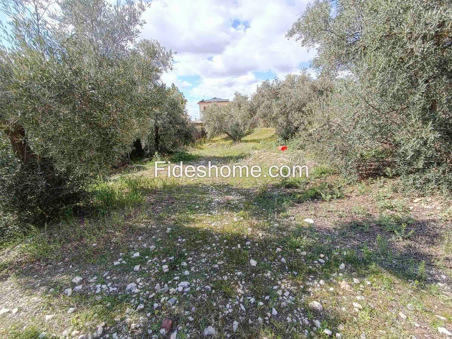 Building Site for Sale in Dúrcal