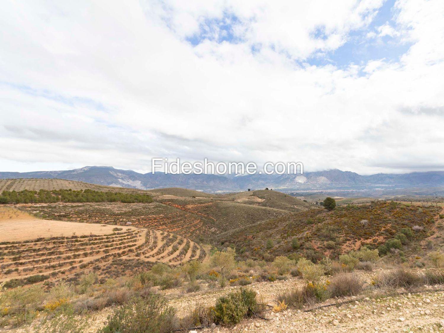 Country Property for Sale in Villamena