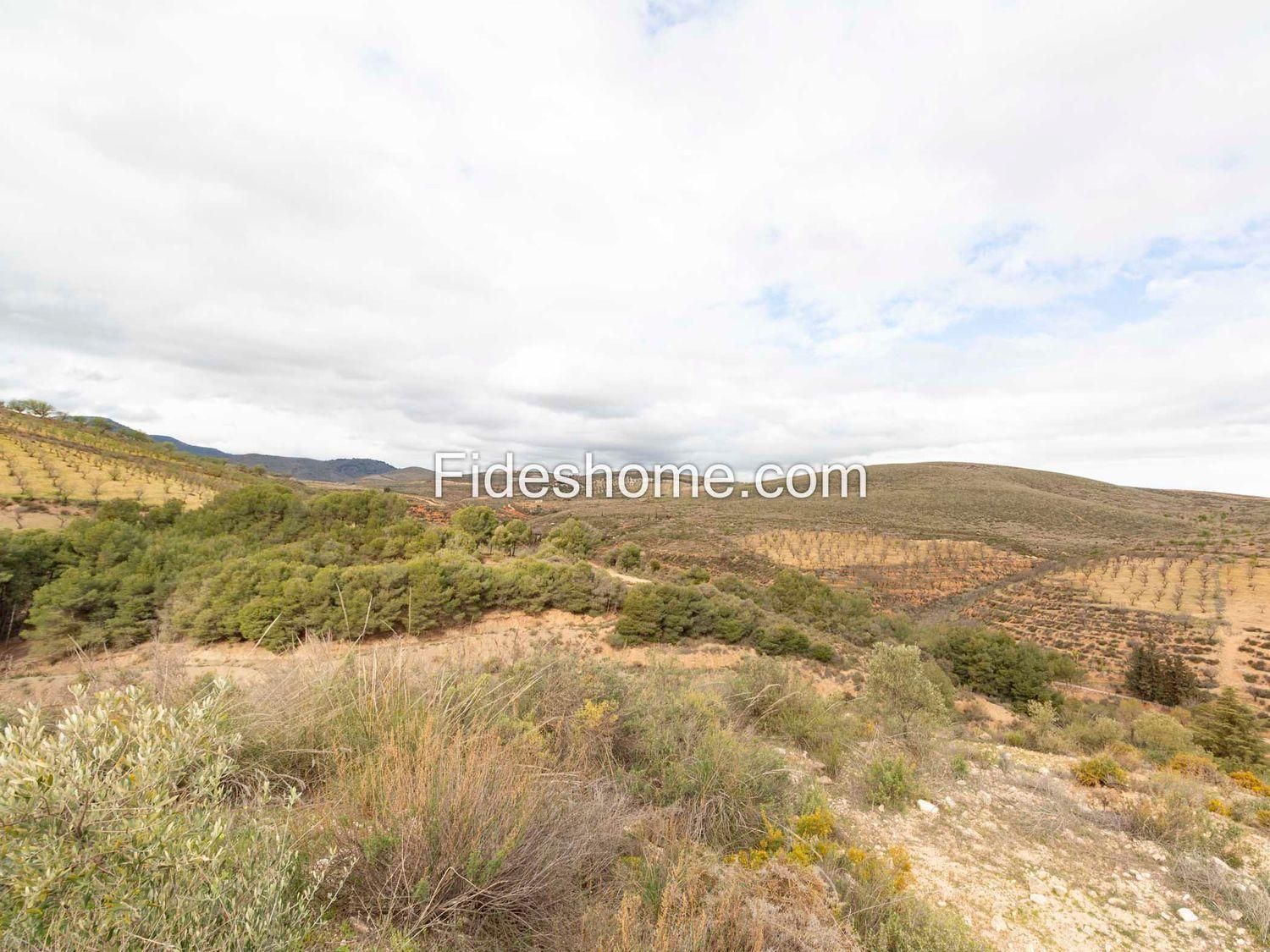 Villa en Venta en Villamena