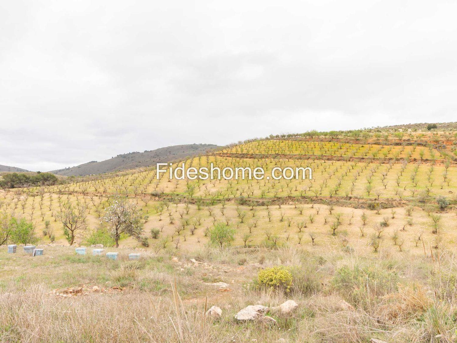 Country Property for Sale in Villamena