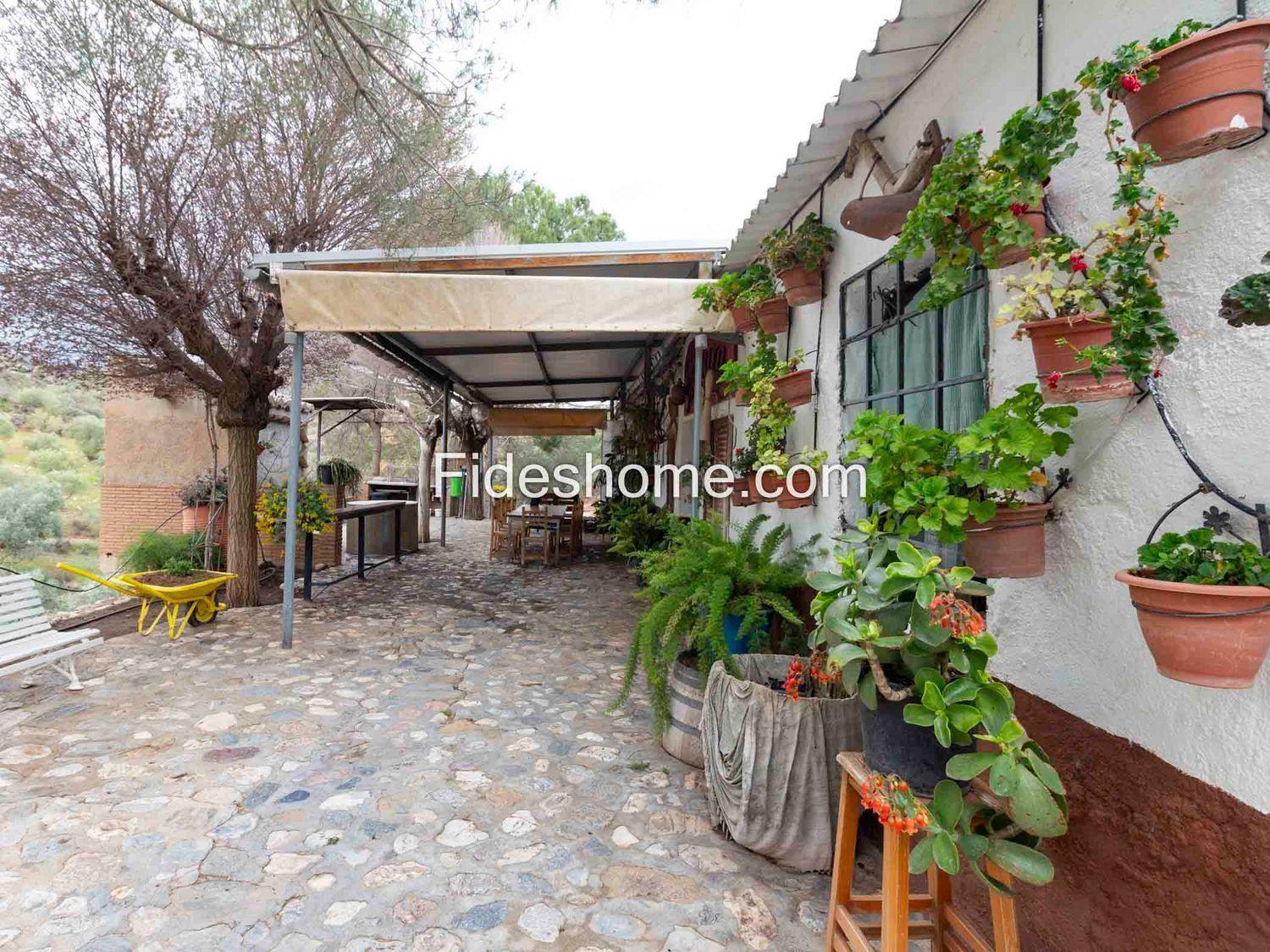 Country Property for Sale in Villamena