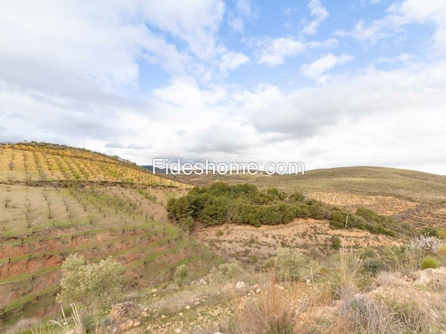 Country Property for Sale in Villamena