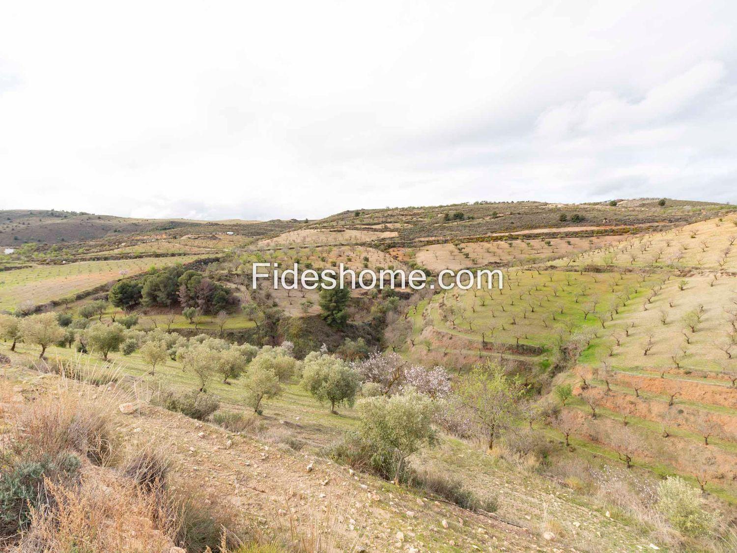 Villa en Venta en Villamena