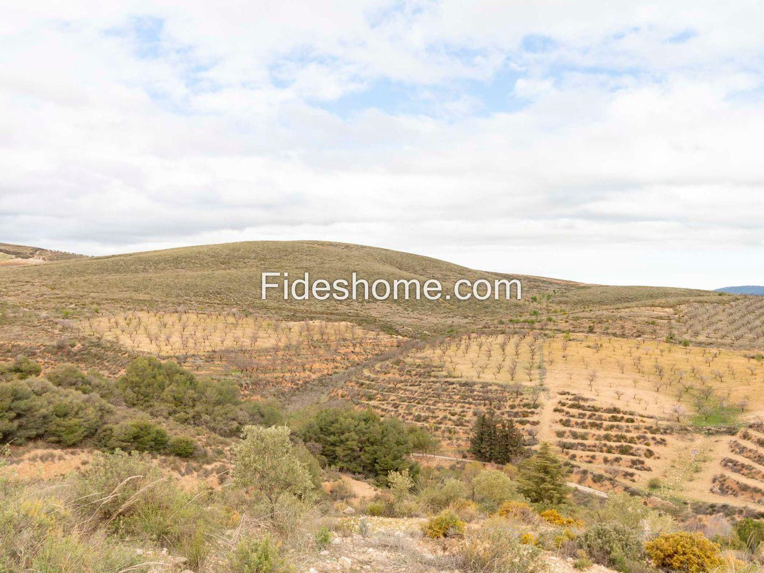 Country Property for Sale in Villamena