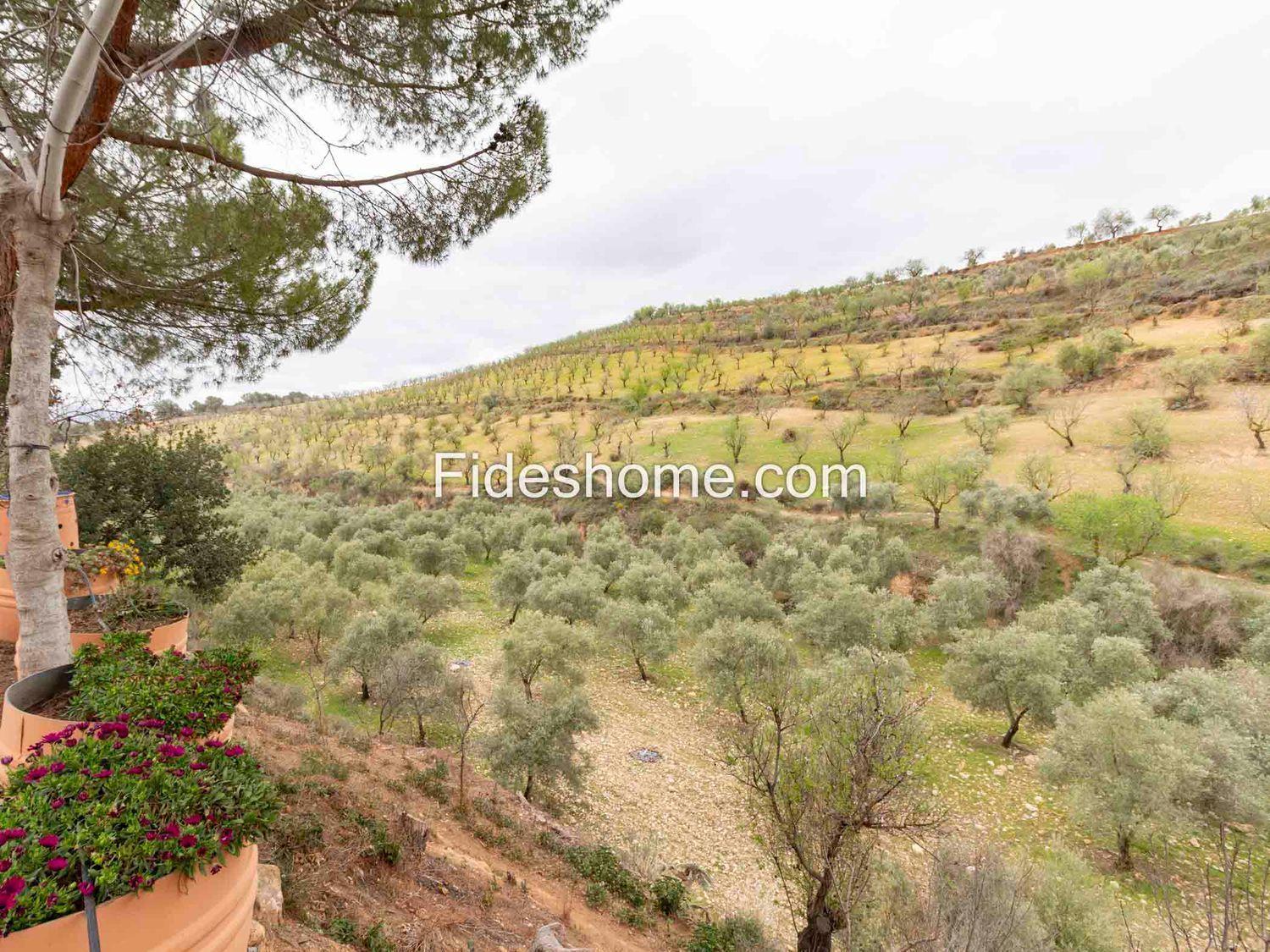 Villa en Venta en Villamena