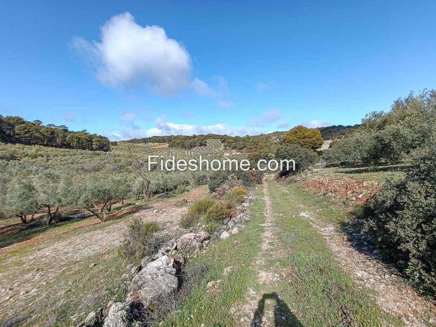 Building Site for Sale in Albuñuelas