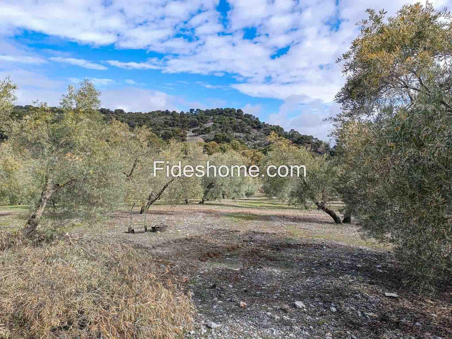 Building Site for Sale in Albuñuelas