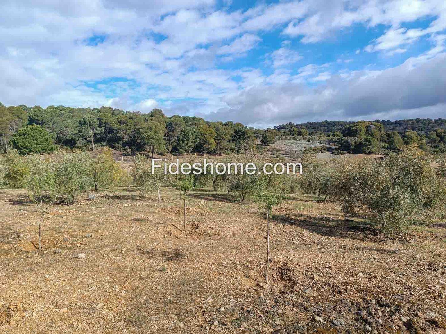 Building Site for Sale in Albuñuelas