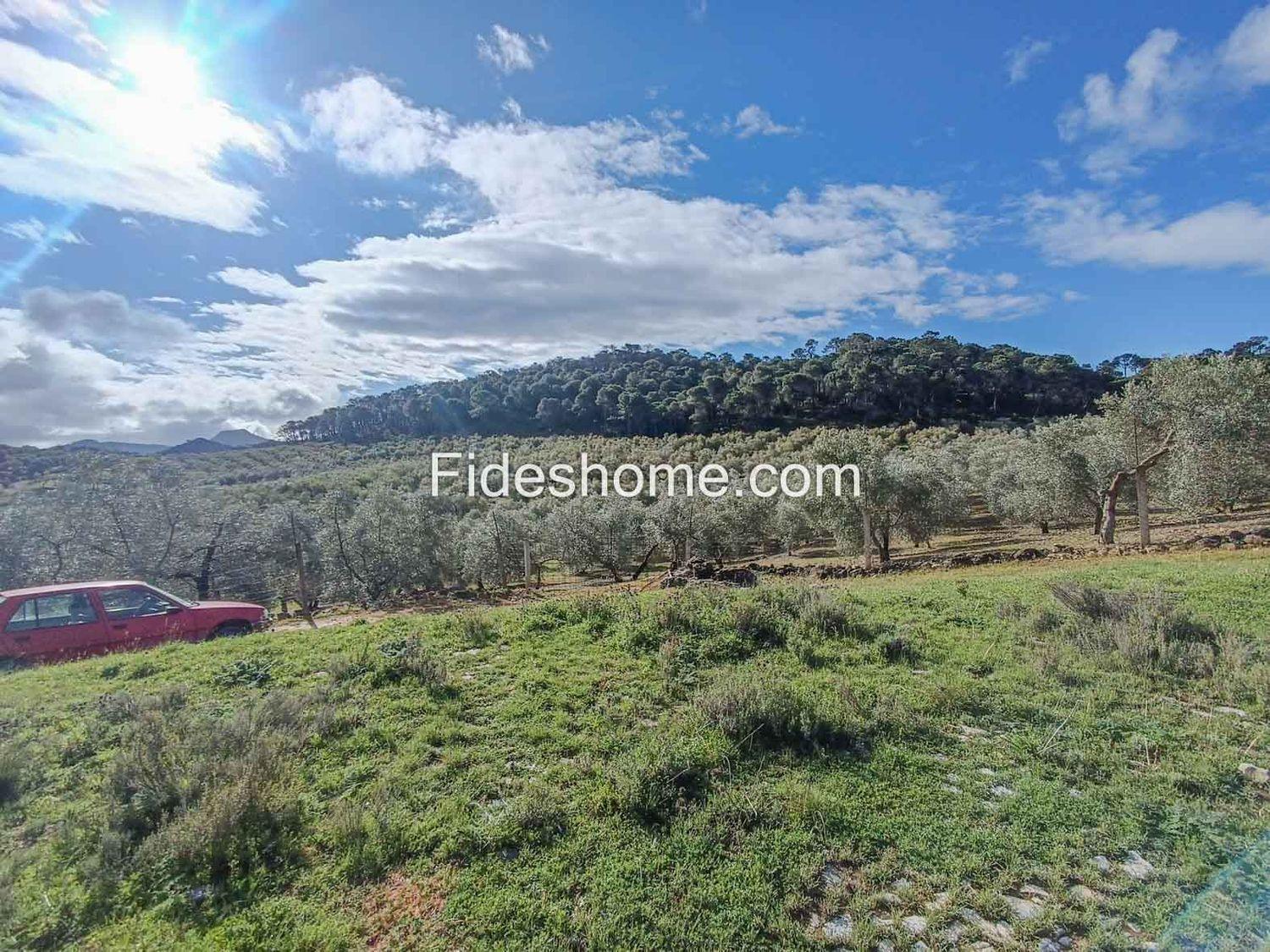 Building Site for Sale in Albuñuelas