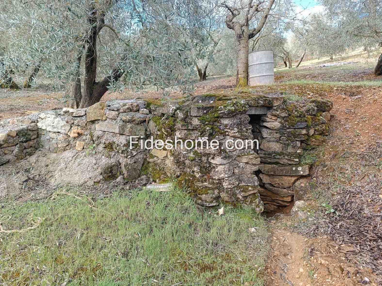 Building Site for Sale in Albuñuelas