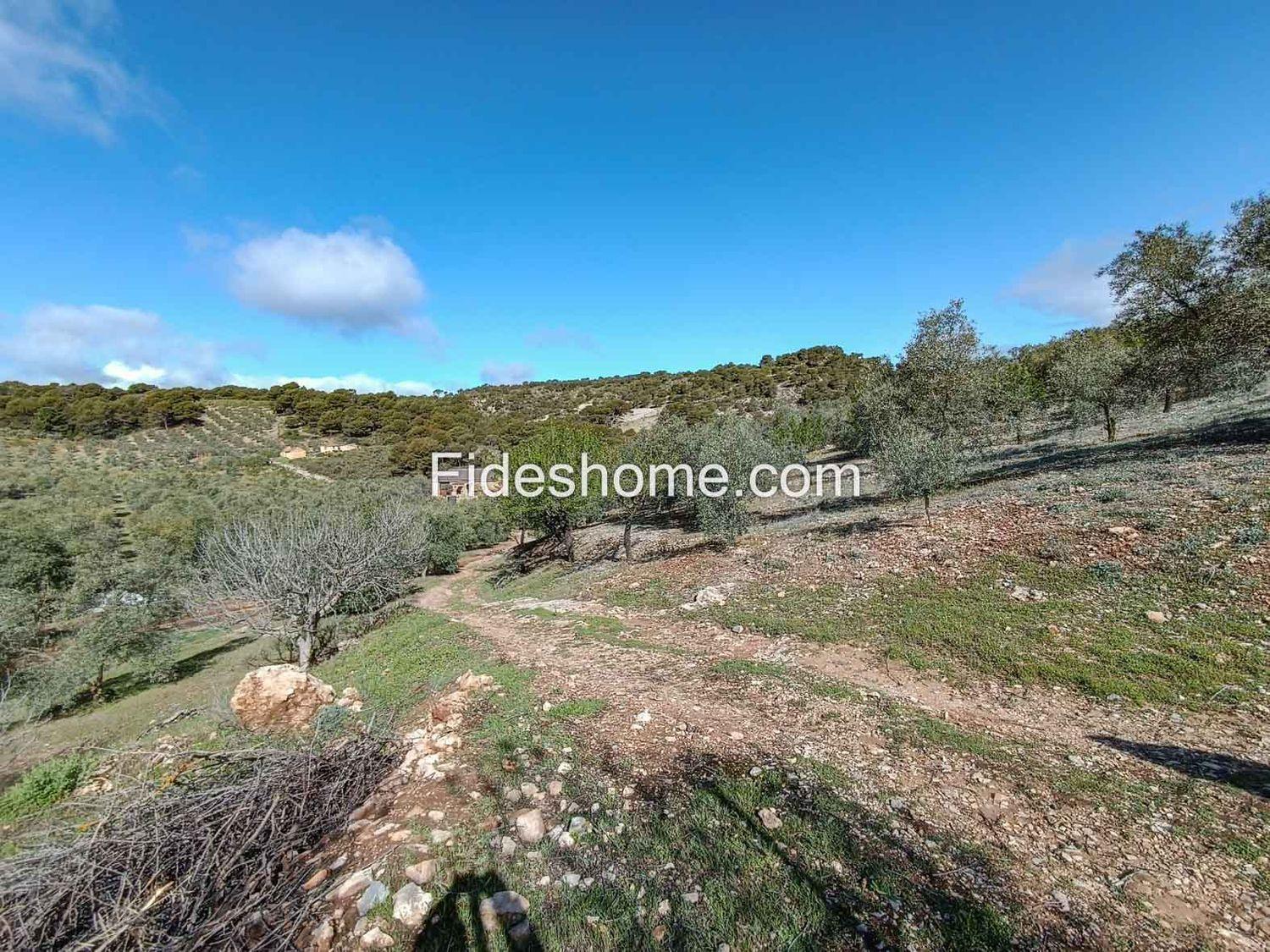 Building Site for Sale in Albuñuelas