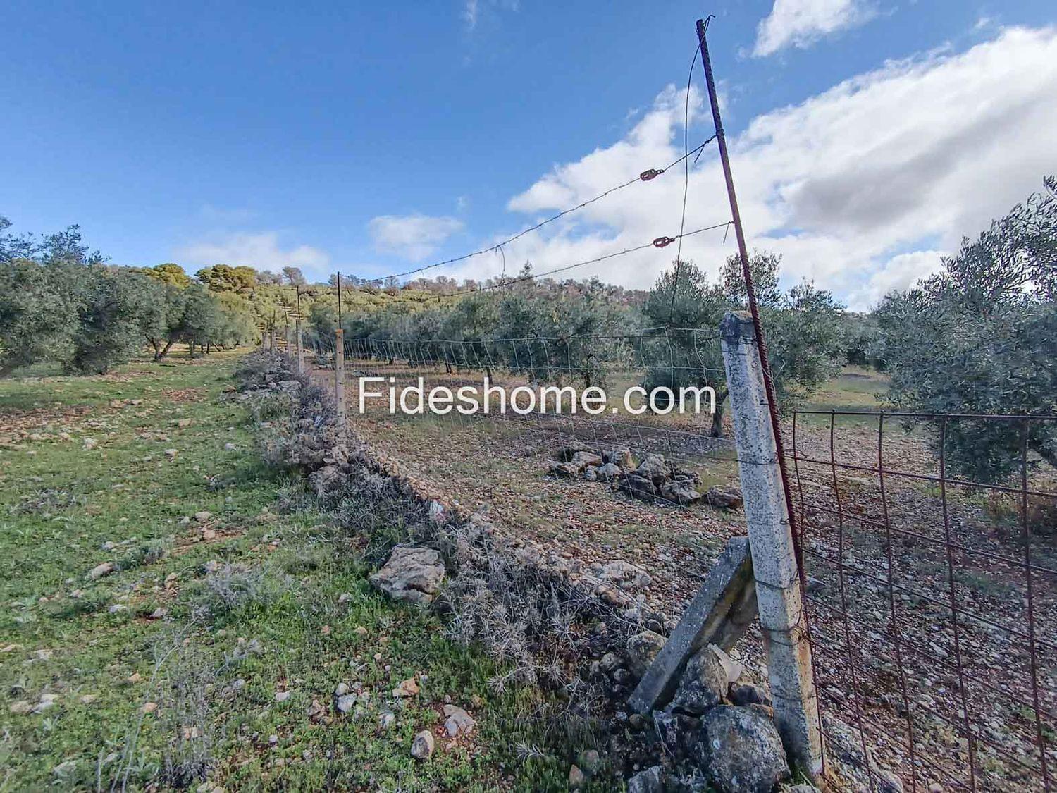 Building Site for Sale in Albuñuelas
