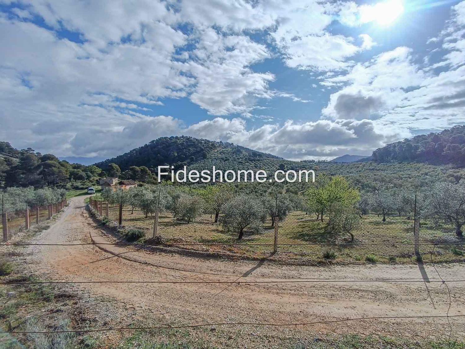 Building Site for Sale in Albuñuelas