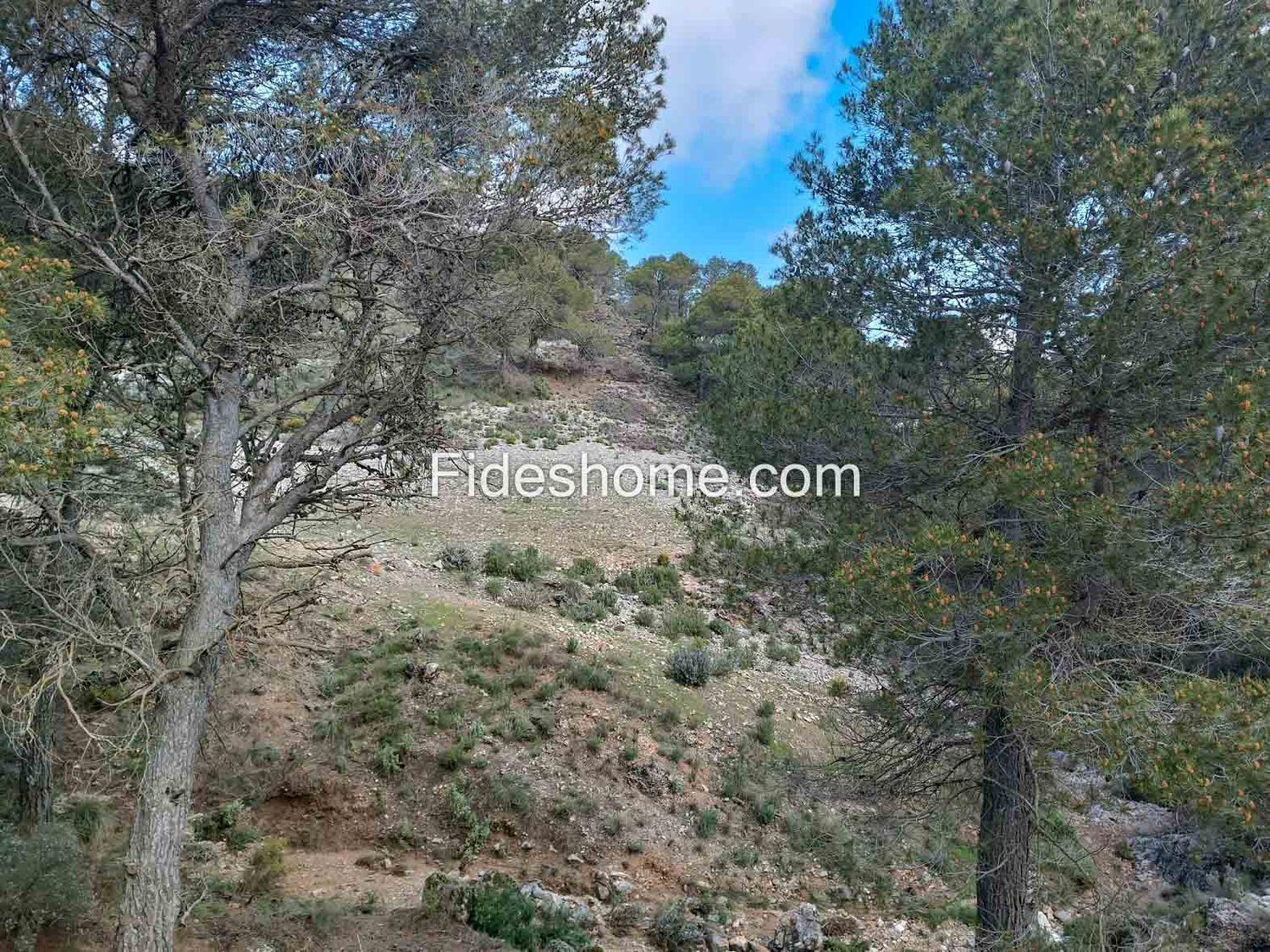 Building Site for Sale in Albuñuelas