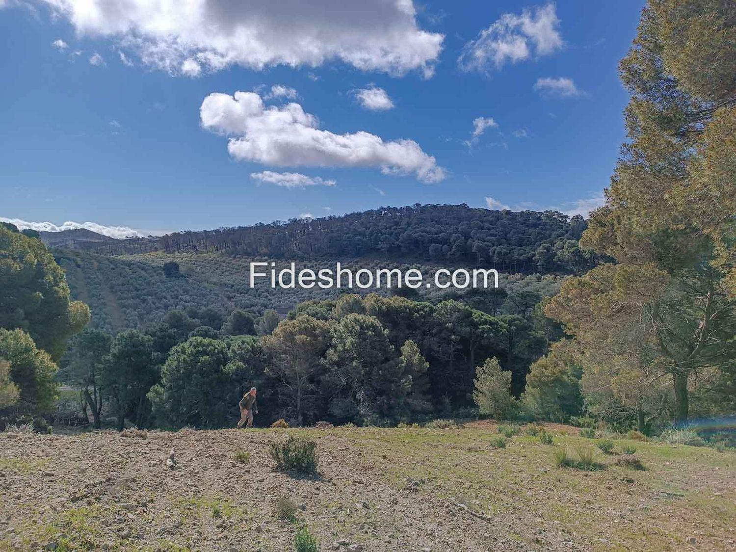 Building Site for Sale in Albuñuelas