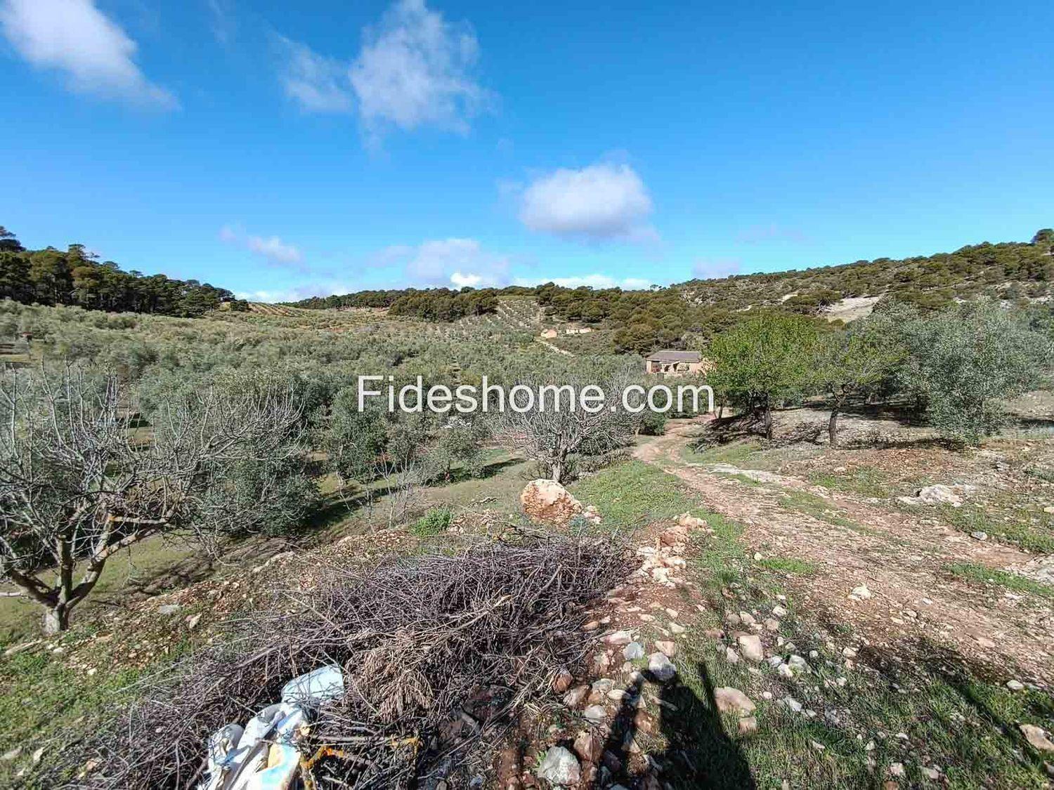 Building Site for Sale in Albuñuelas