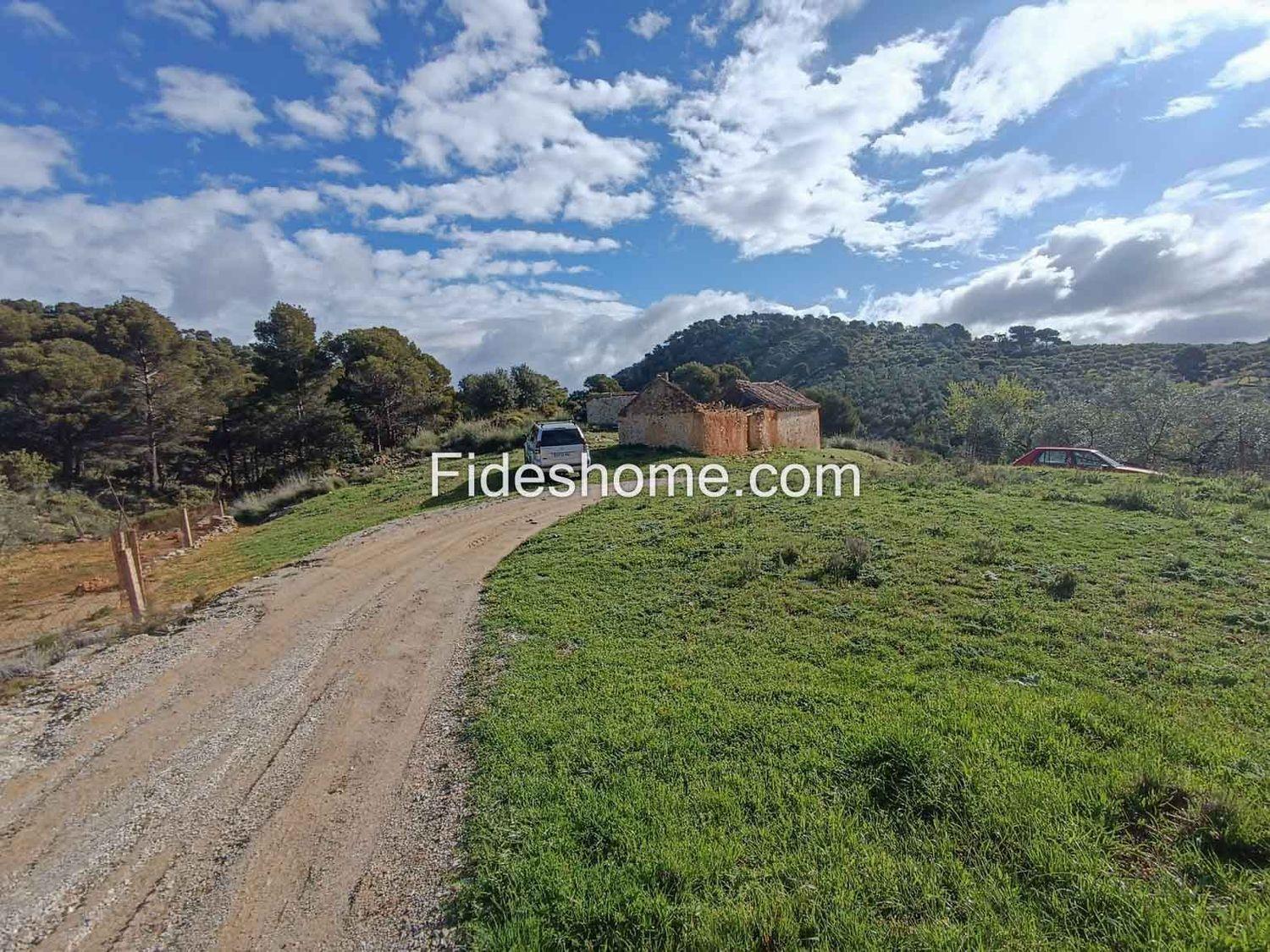 Building Site for Sale in Albuñuelas