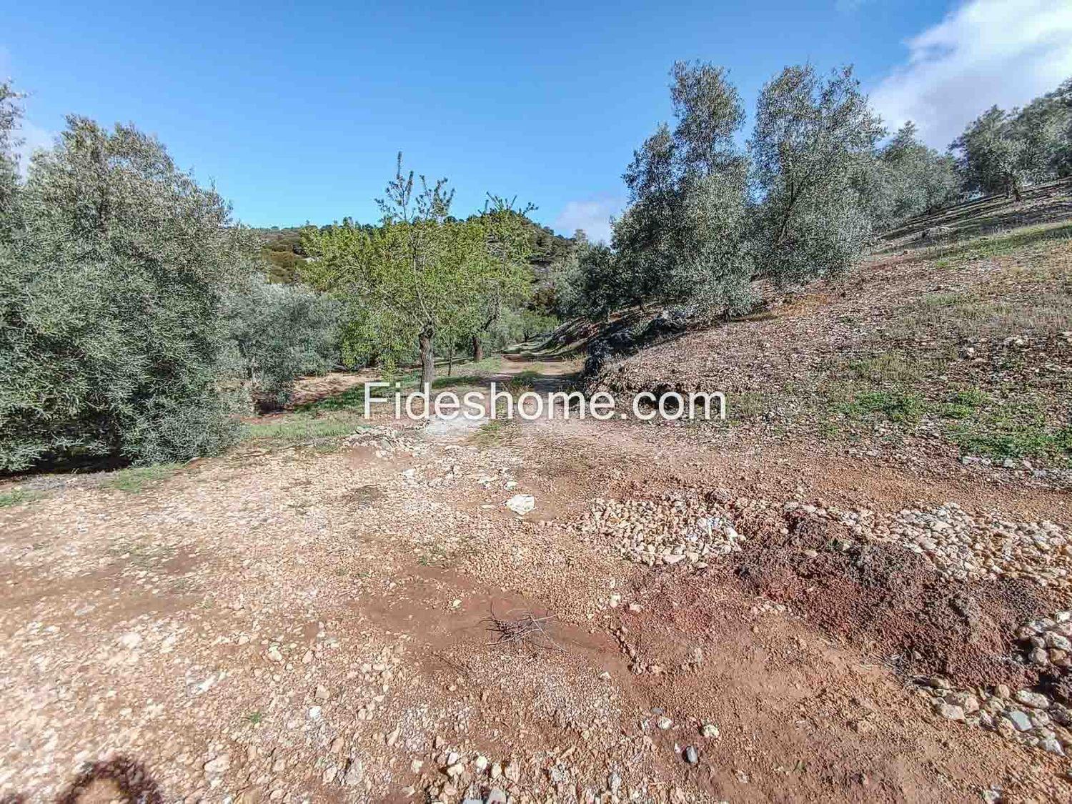 Building Site for Sale in Albuñuelas
