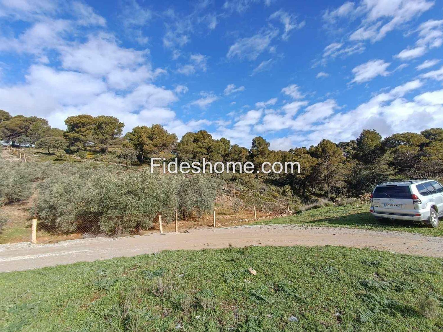 Building Site for Sale in Albuñuelas