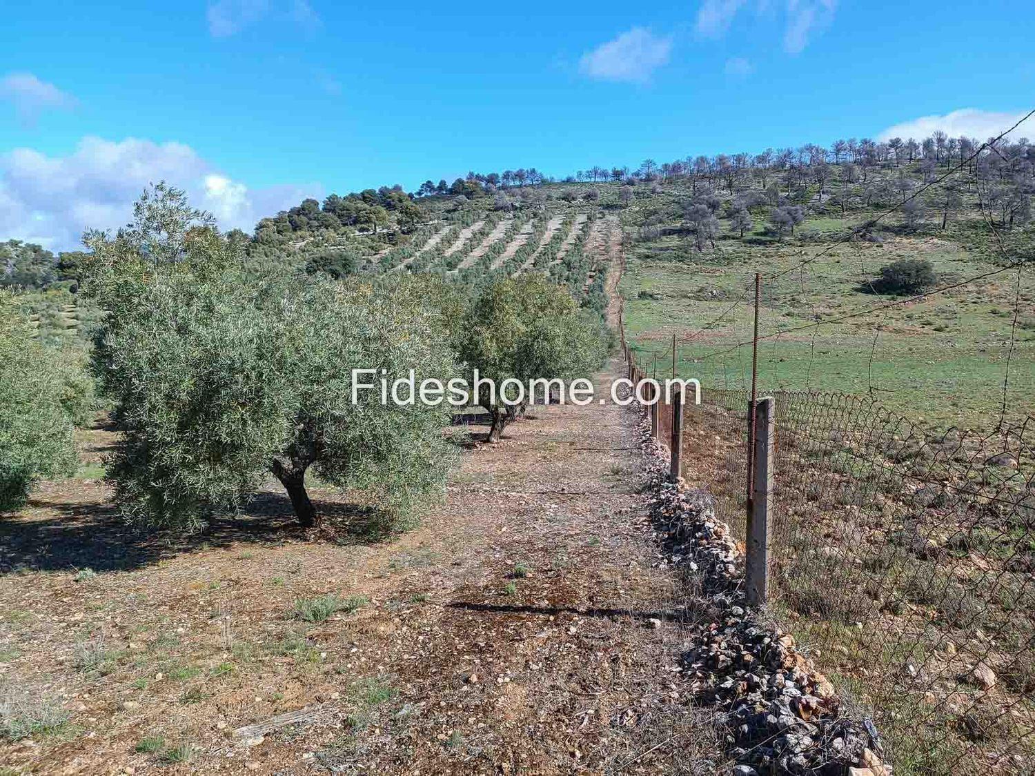 Building Site for Sale in Albuñuelas