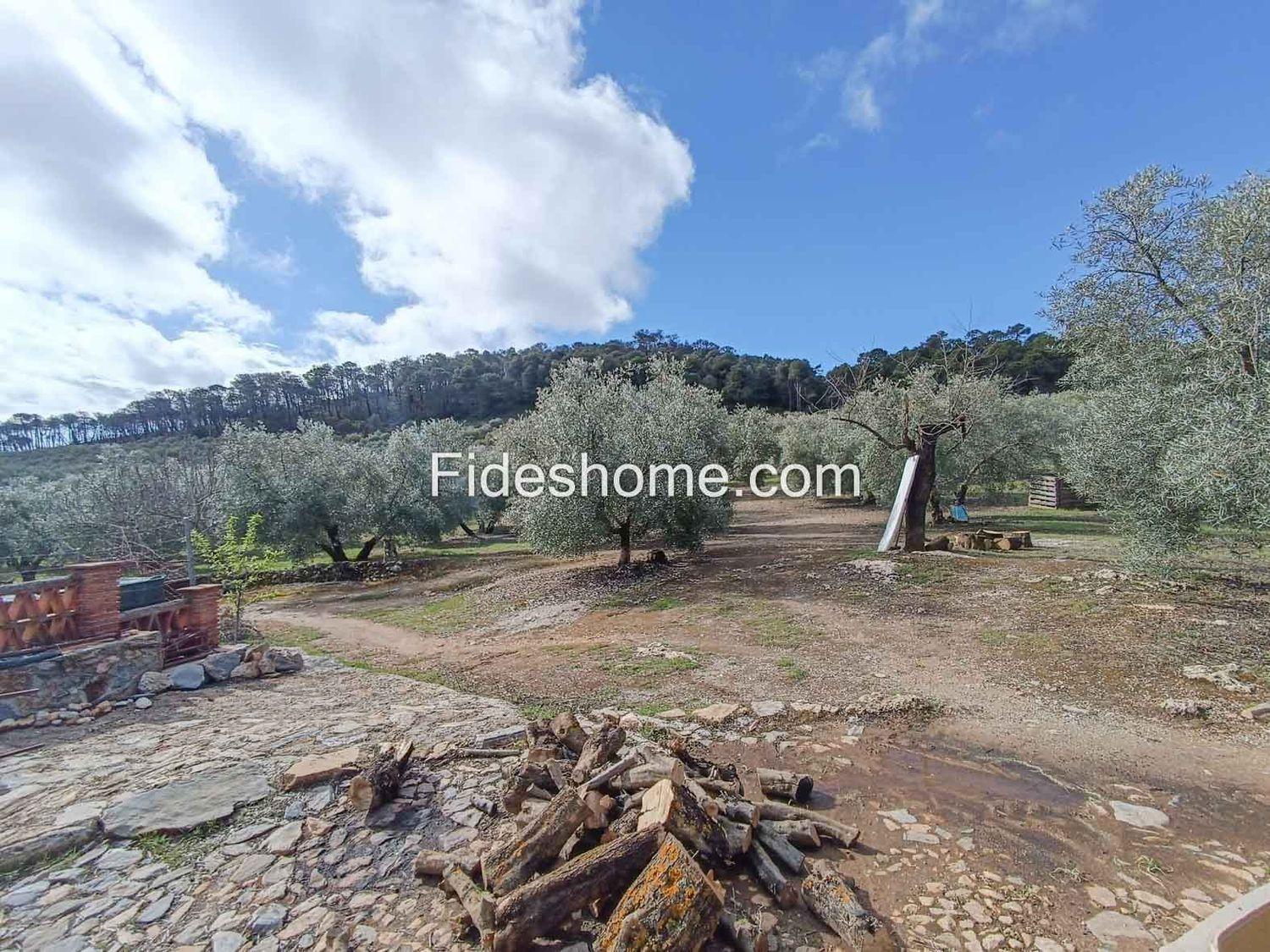 Building Site for Sale in Albuñuelas