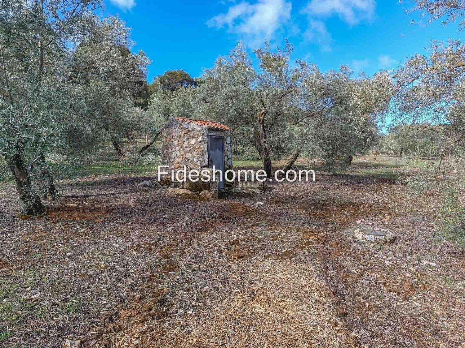 Building Site for Sale in Albuñuelas