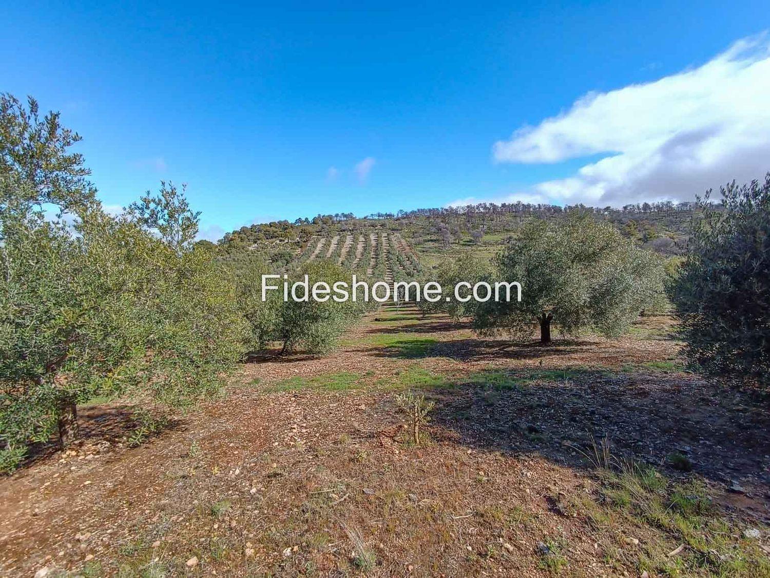 Building Site for Sale in Albuñuelas