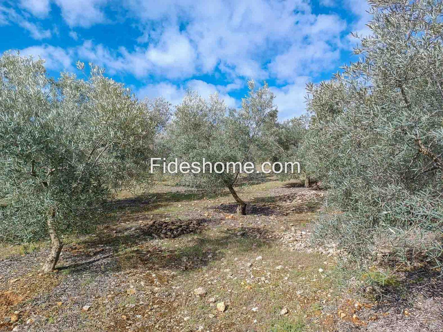 Building Site for Sale in Albuñuelas