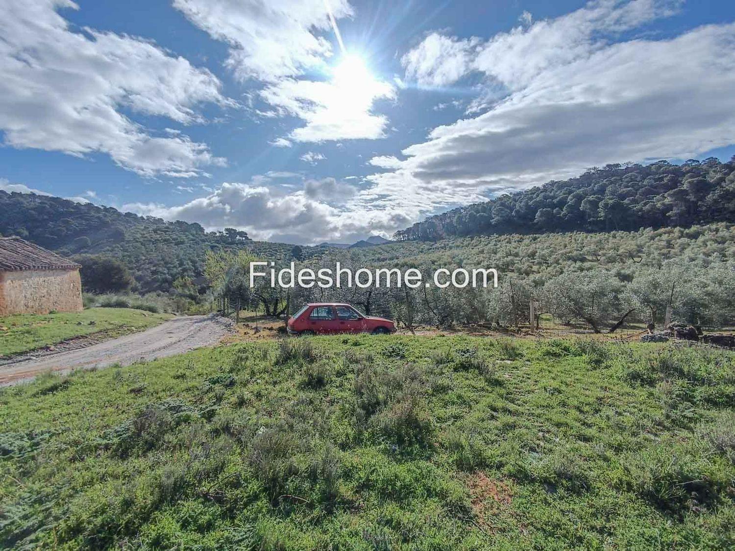 Building Site for Sale in Albuñuelas