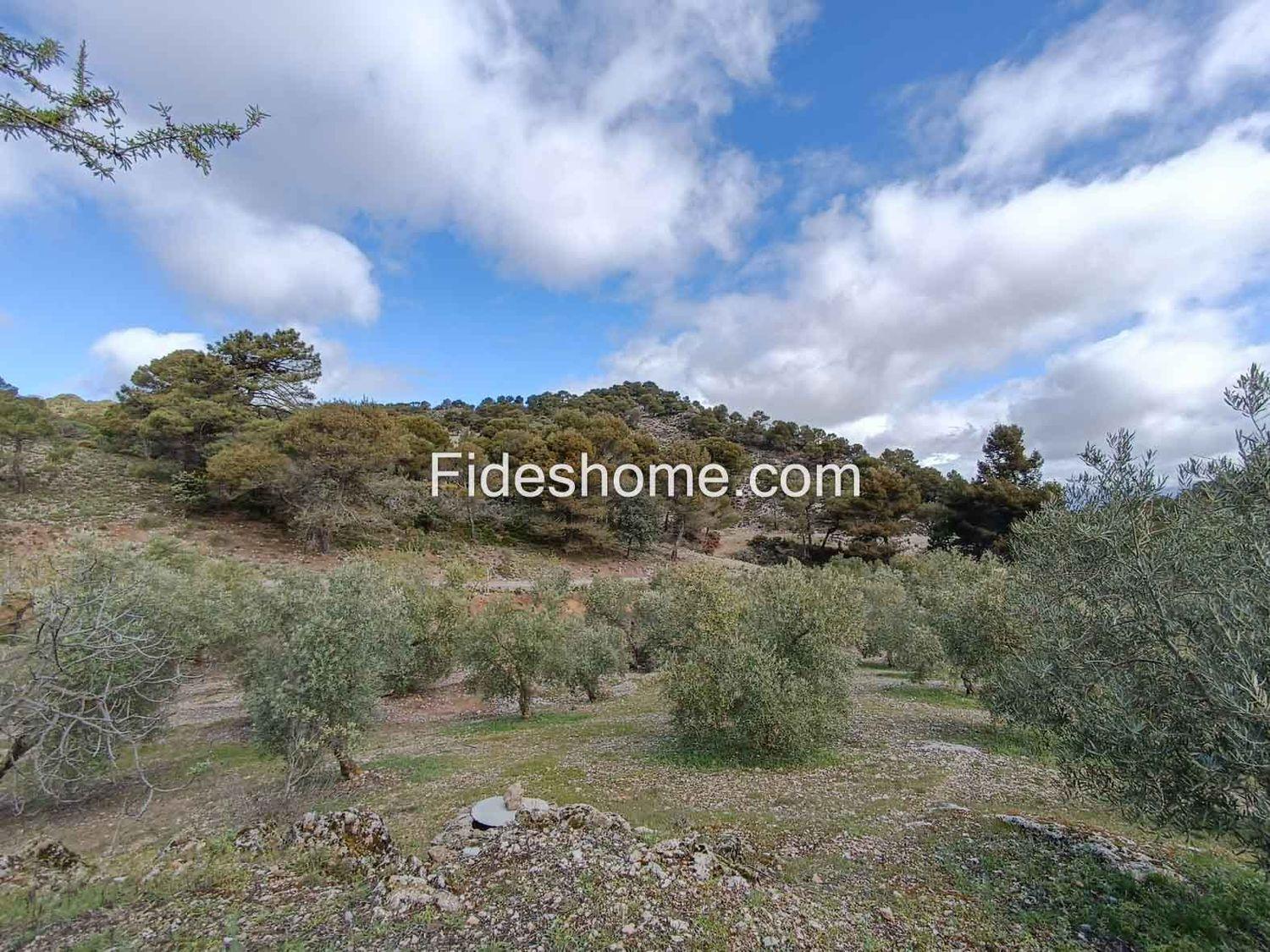 Building Site for Sale in Albuñuelas