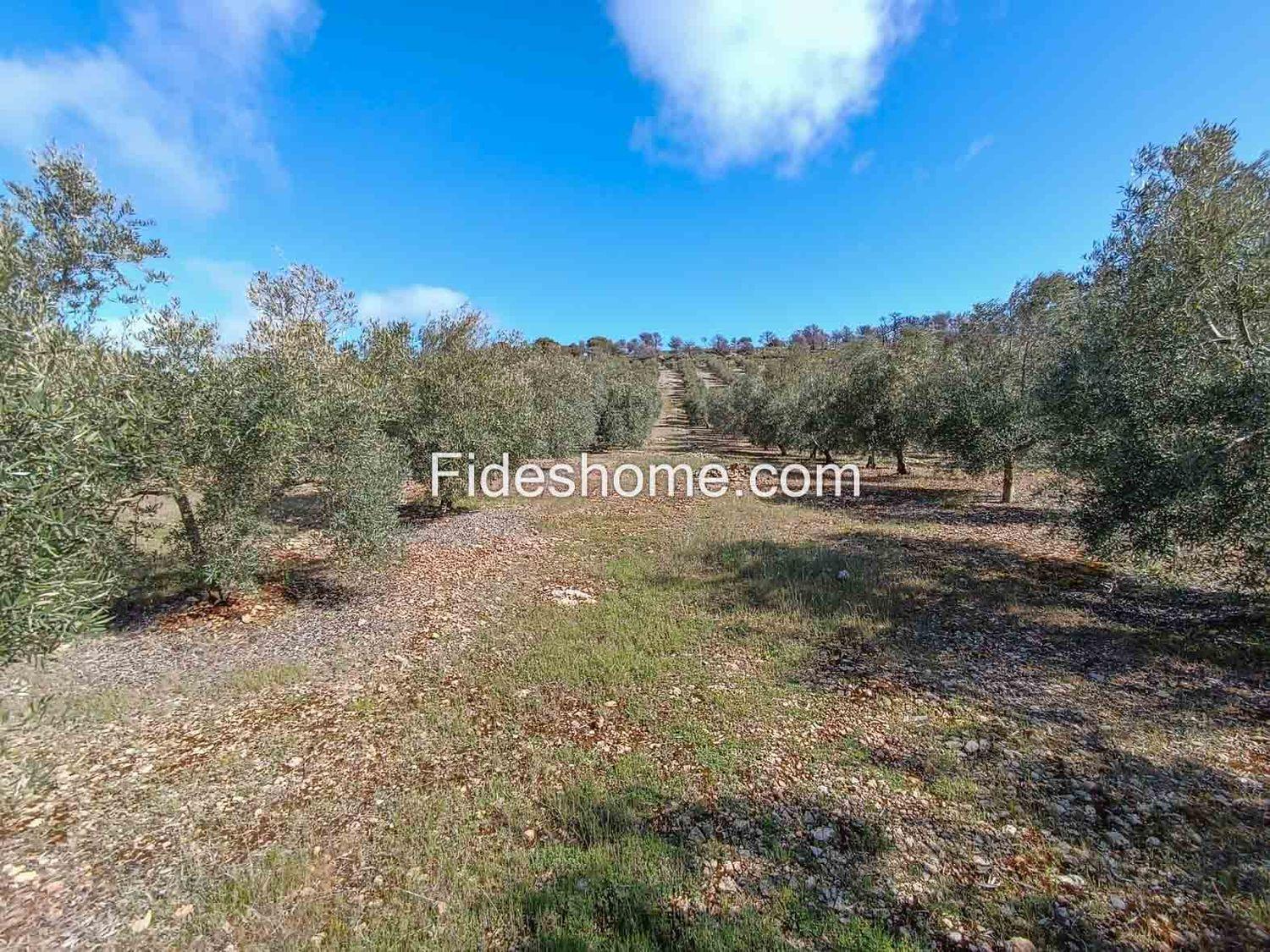 Building Site for Sale in Albuñuelas