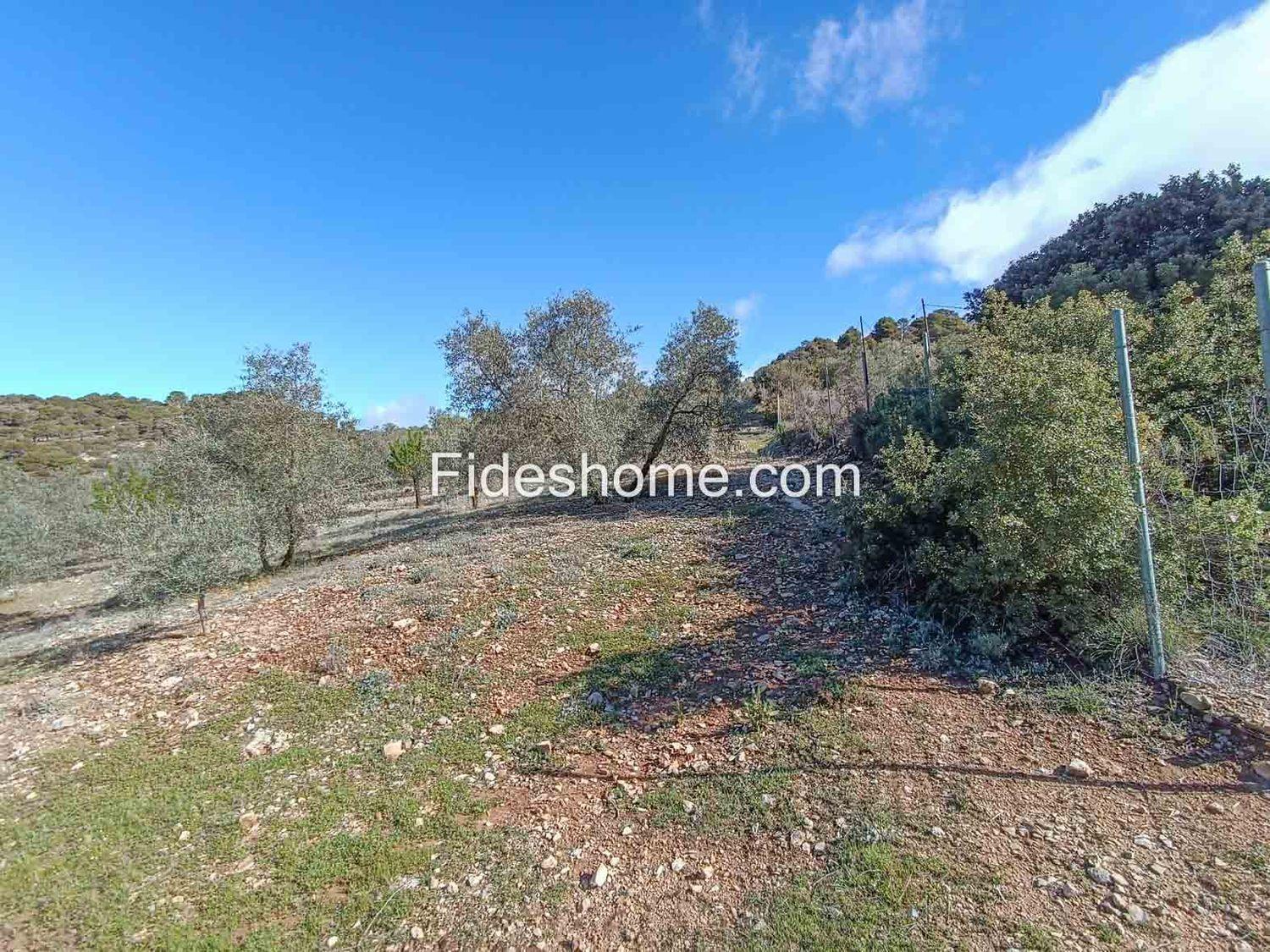 Building Site for Sale in Albuñuelas