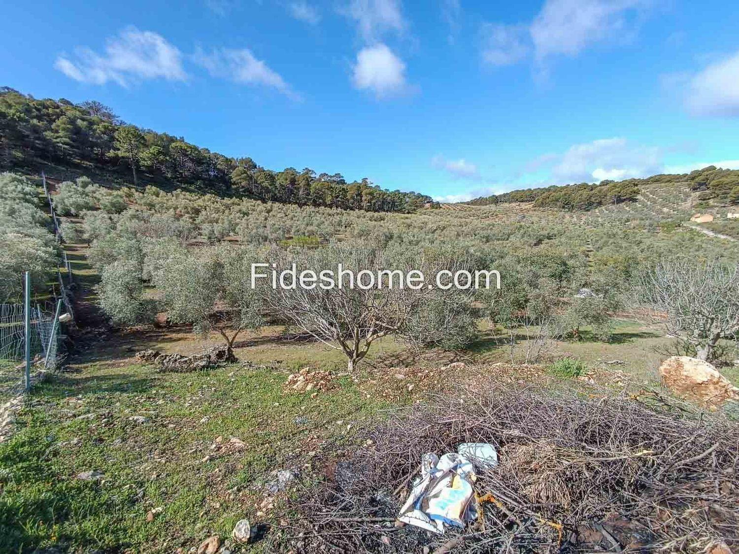 Building Site for Sale in Albuñuelas