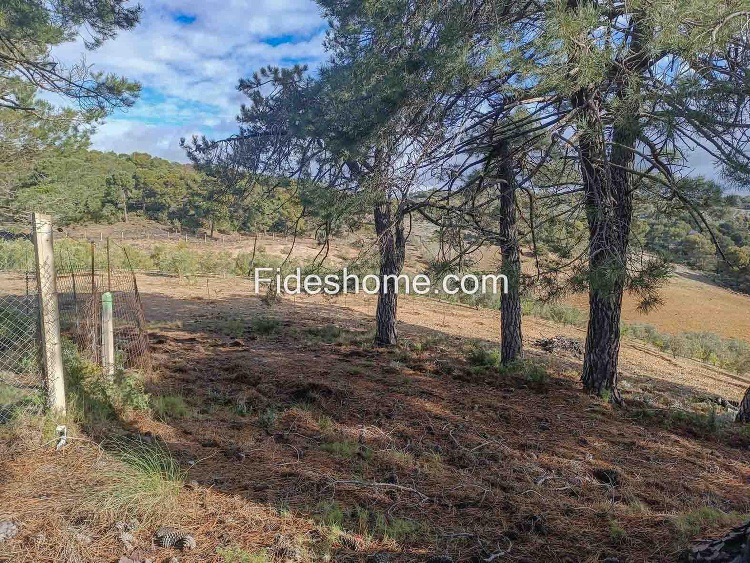 Building Site for Sale in Albuñuelas