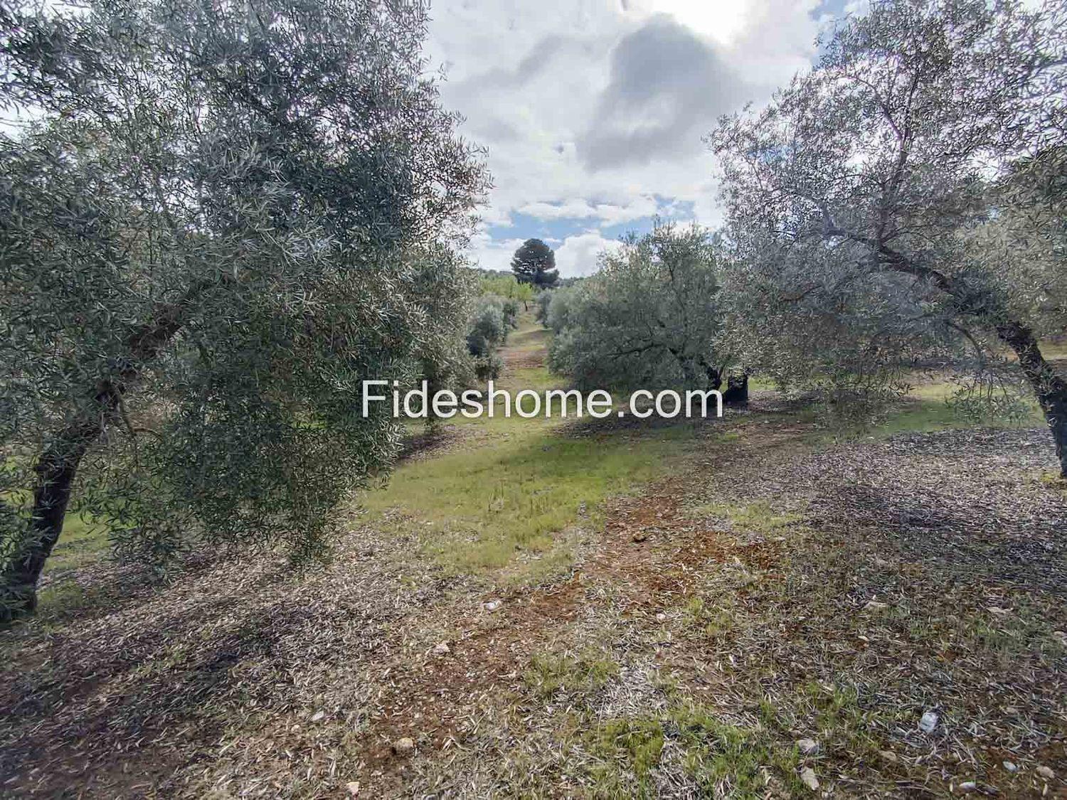 Building Site for Sale in Albuñuelas