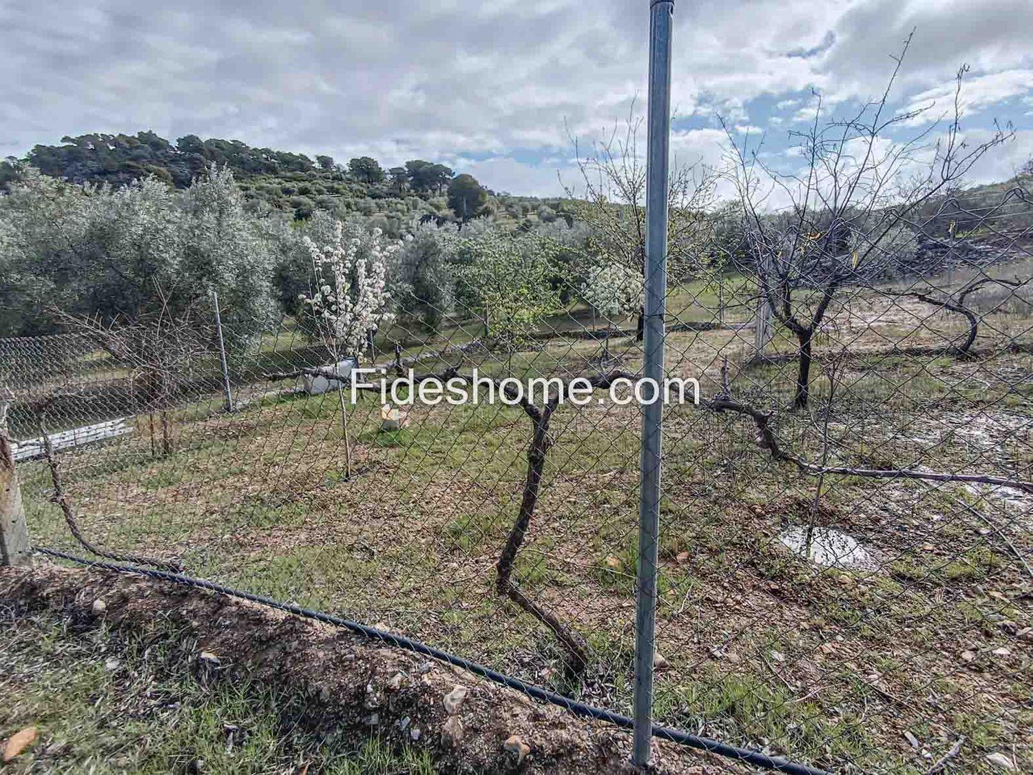 Building Site for Sale in Albuñuelas