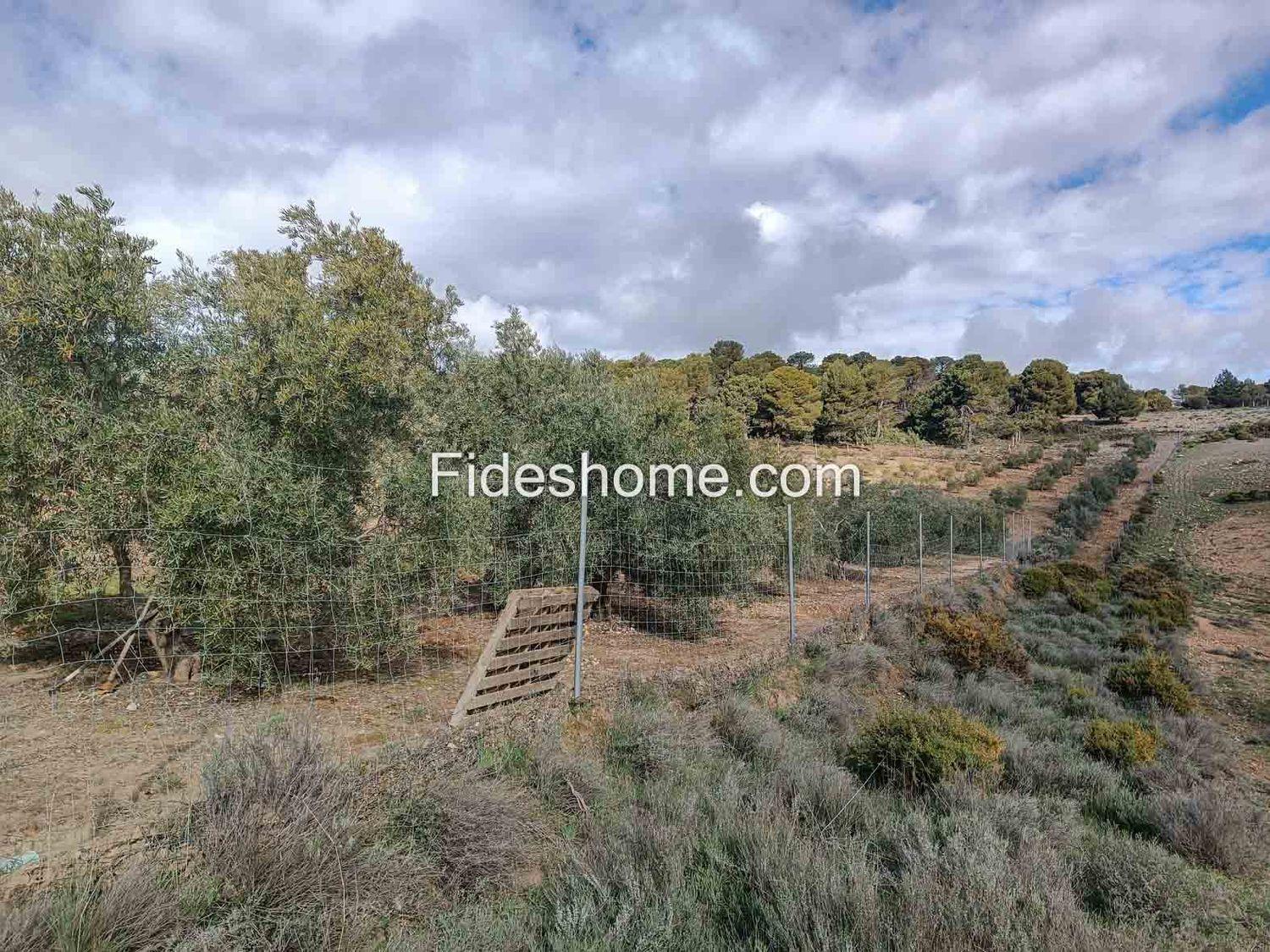 Building Site for Sale in Albuñuelas