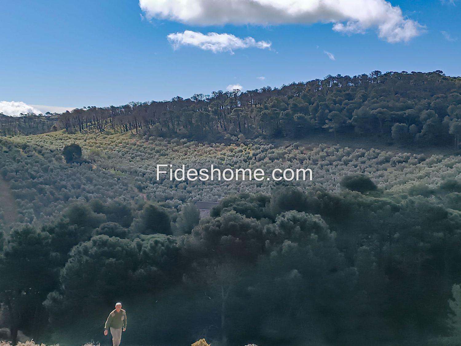 Building Site for Sale in Albuñuelas