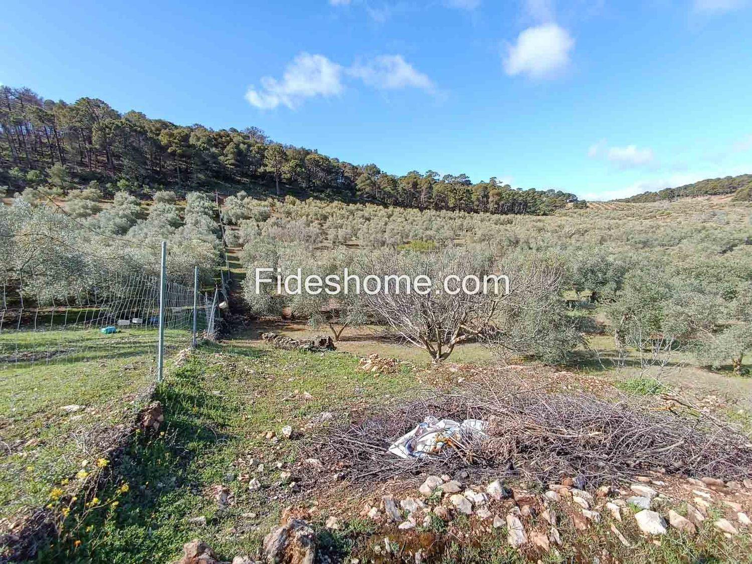 Building Site for Sale in Albuñuelas